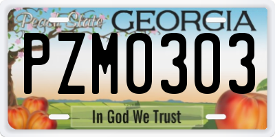 GA license plate PZM0303