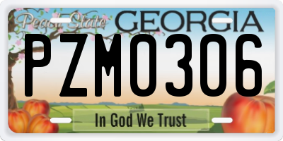 GA license plate PZM0306