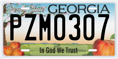 GA license plate PZM0307