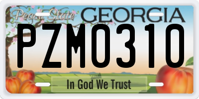 GA license plate PZM0310