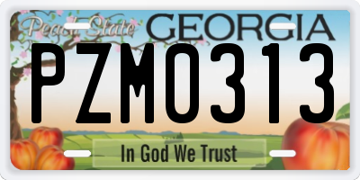 GA license plate PZM0313