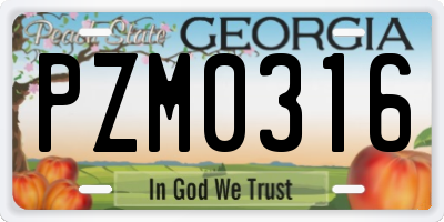 GA license plate PZM0316