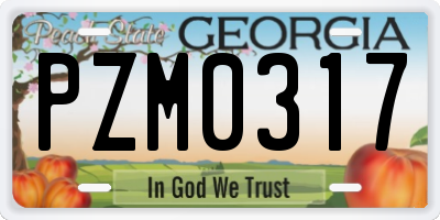GA license plate PZM0317