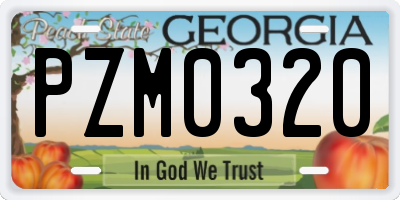 GA license plate PZM0320