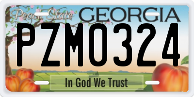 GA license plate PZM0324