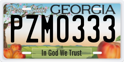 GA license plate PZM0333