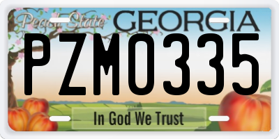 GA license plate PZM0335