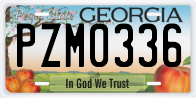 GA license plate PZM0336