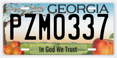 GA license plate PZM0337