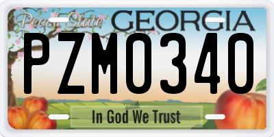 GA license plate PZM0340