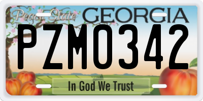 GA license plate PZM0342