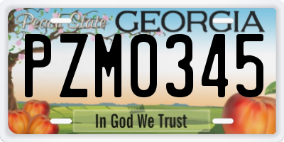 GA license plate PZM0345