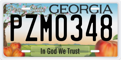 GA license plate PZM0348