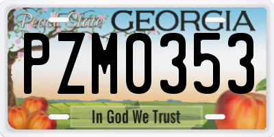 GA license plate PZM0353