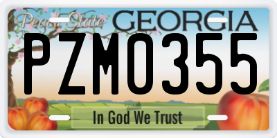 GA license plate PZM0355