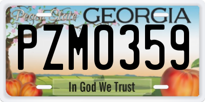 GA license plate PZM0359