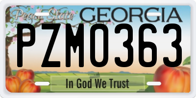 GA license plate PZM0363