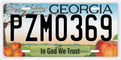 GA license plate PZM0369