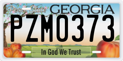 GA license plate PZM0373
