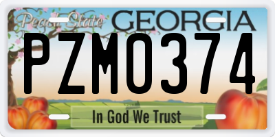 GA license plate PZM0374