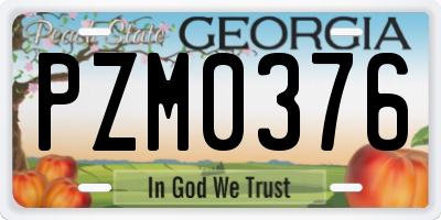 GA license plate PZM0376