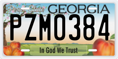 GA license plate PZM0384