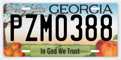 GA license plate PZM0388