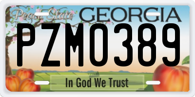 GA license plate PZM0389