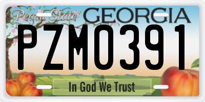 GA license plate PZM0391