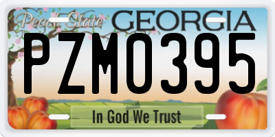 GA license plate PZM0395