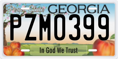GA license plate PZM0399