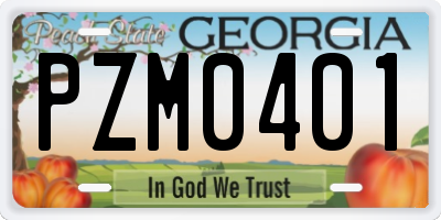 GA license plate PZM0401