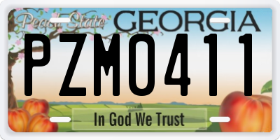 GA license plate PZM0411
