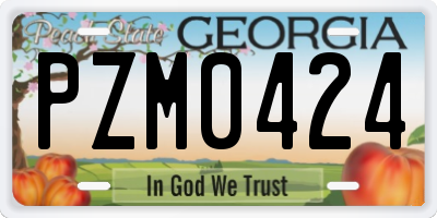 GA license plate PZM0424