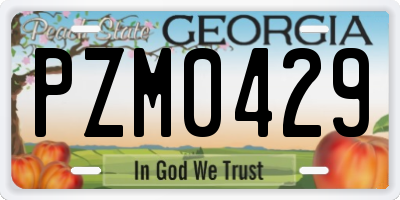 GA license plate PZM0429
