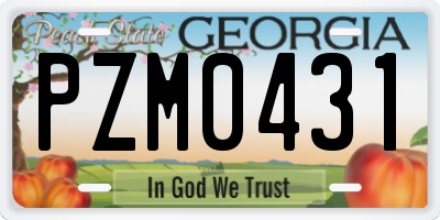 GA license plate PZM0431