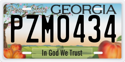 GA license plate PZM0434