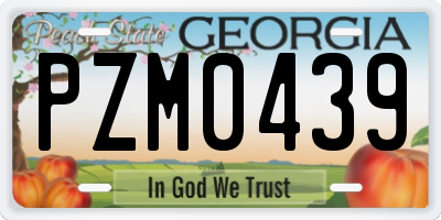 GA license plate PZM0439