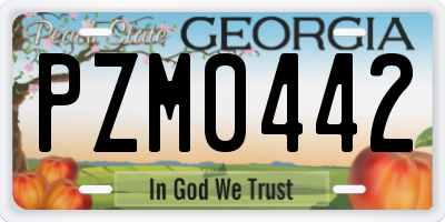 GA license plate PZM0442