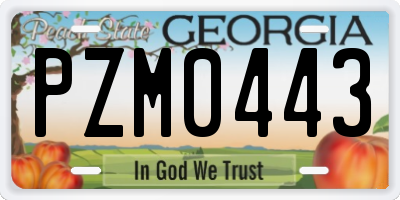 GA license plate PZM0443