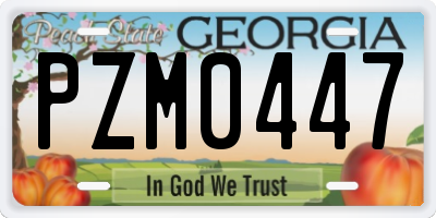 GA license plate PZM0447
