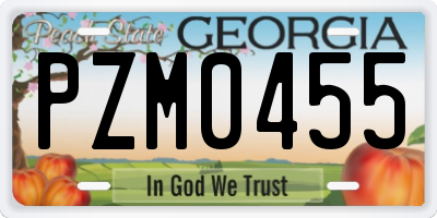 GA license plate PZM0455