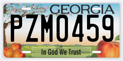 GA license plate PZM0459
