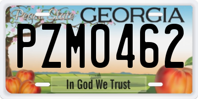 GA license plate PZM0462