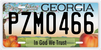 GA license plate PZM0466