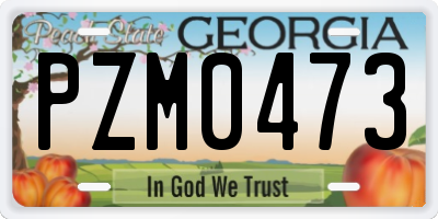 GA license plate PZM0473