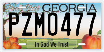 GA license plate PZM0477