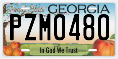 GA license plate PZM0480