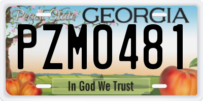 GA license plate PZM0481