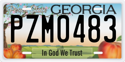 GA license plate PZM0483